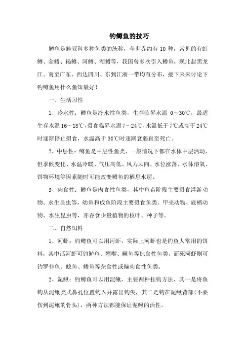 钓鱼技巧：钓鳟鱼的技巧