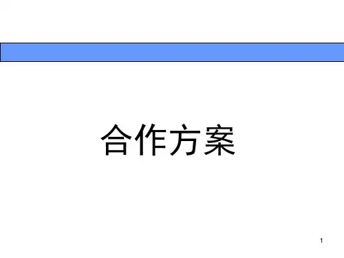合作方案PPT课件