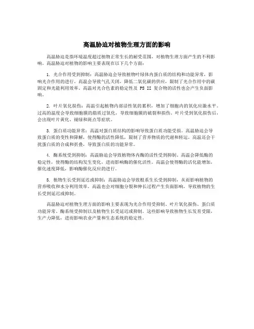 高温胁迫对植物生理方面的影响