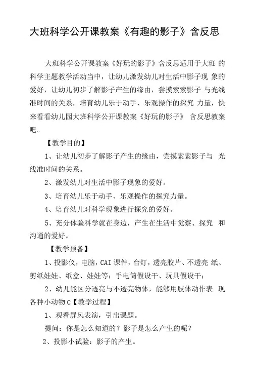 大班科学公开课教案《有趣的影子》含反思