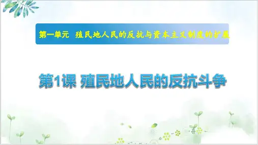 (部编)《殖民地人民的反抗斗争》ppt精选课件