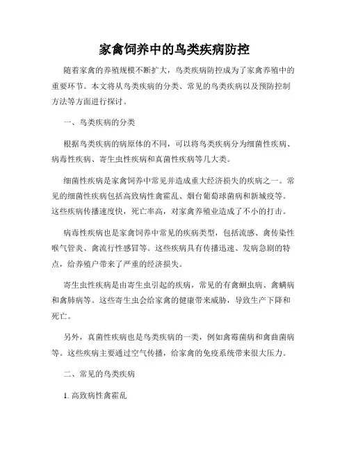 家禽饲养中的鸟类疾病防控