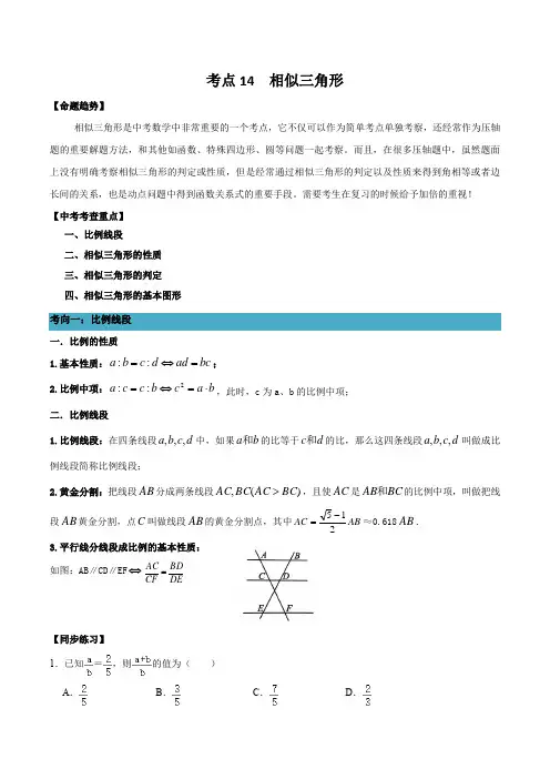 相似三角形-备战2022年中考数学一轮复习考点(浙江专用)(解析版)