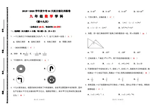 中考30天抓分强化训练卷(第十九天)(含答案)