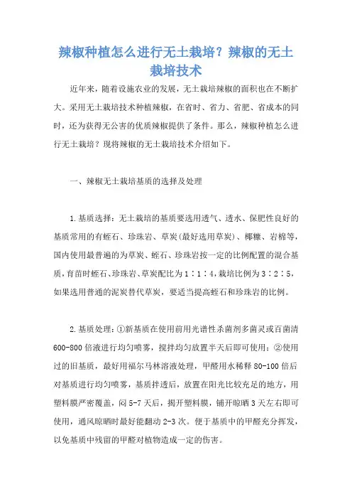 辣椒种植怎么进行无土栽培？辣椒的无土栽培技术