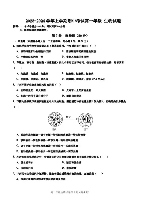 2023-2024学年人教版高一上学期生物必修1期中考试试卷(含答案)
