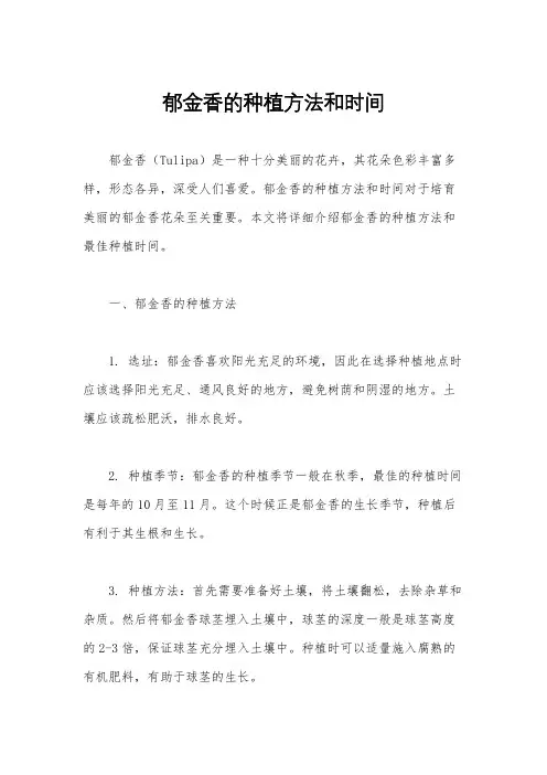 郁金香的种植方法和时间