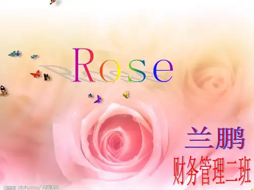 关于玫瑰花的PPT