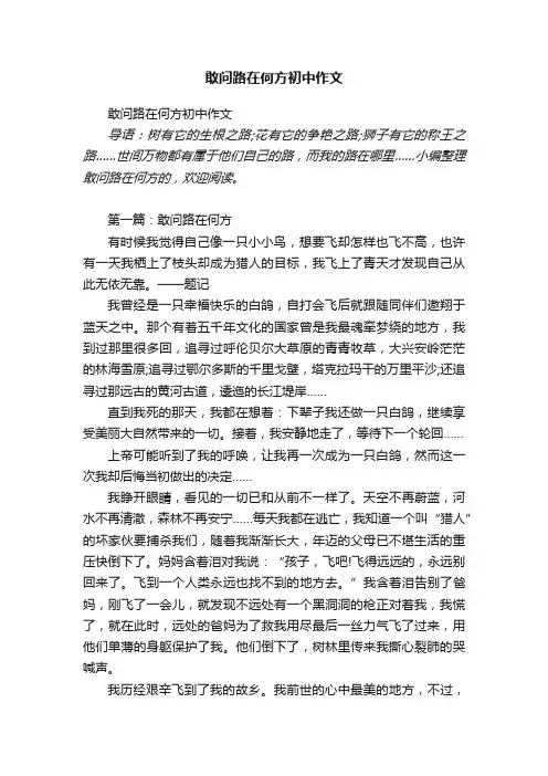 敢问路在何方初中作文