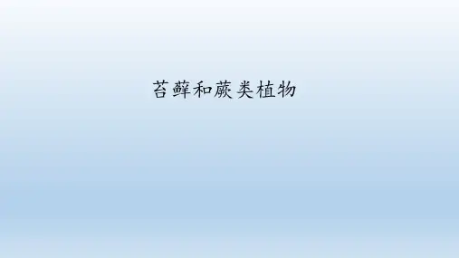 鲁科版(五四学制)生物六年级下册： 苔藓和蕨类植物  课件