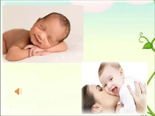 19.生命生命PPT