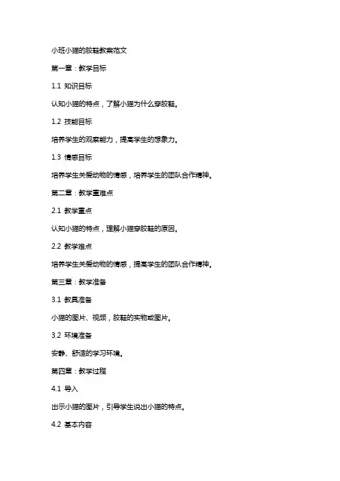 小班小猫的胶鞋教案范文