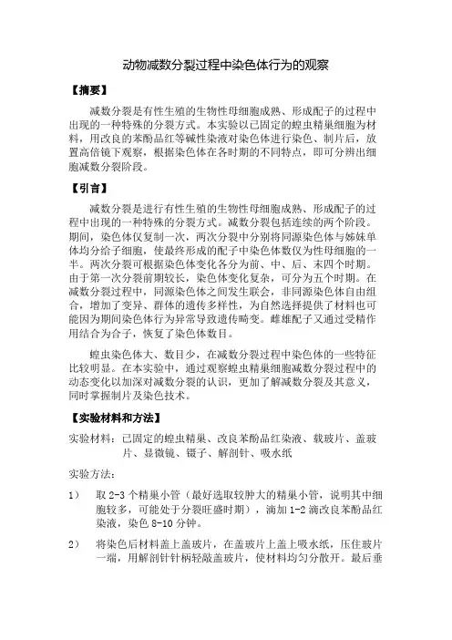 动物减数分裂过程中染色体行为的观察-