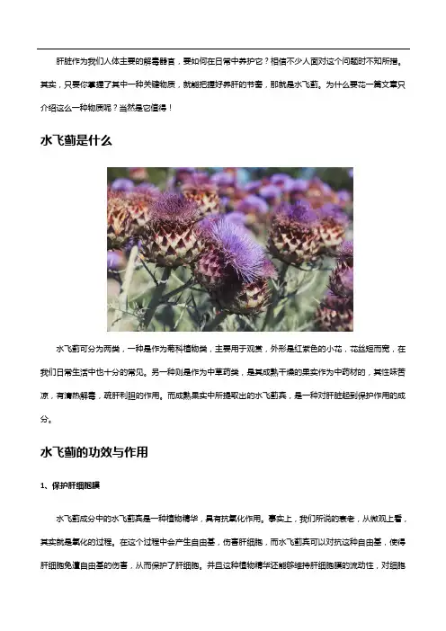 详解水飞蓟的功效与作用,你想知道的都在这里了