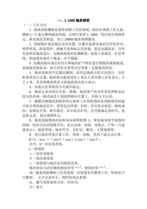地质填图要求及规范
