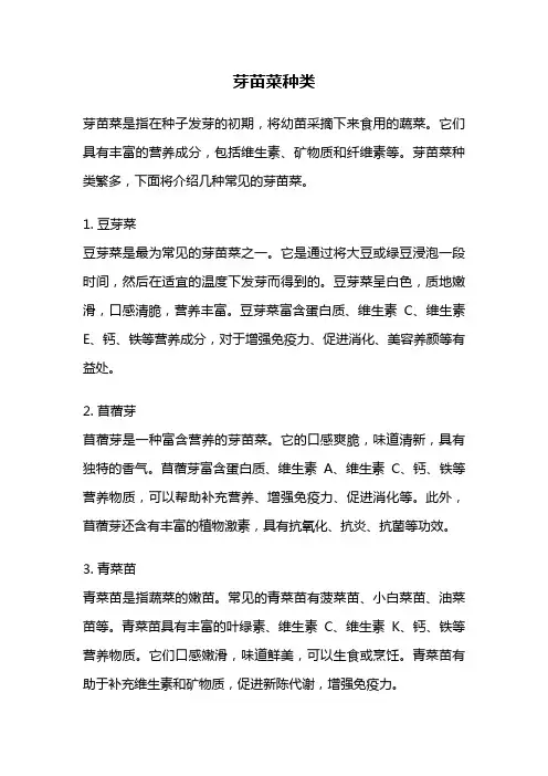 芽苗菜种类