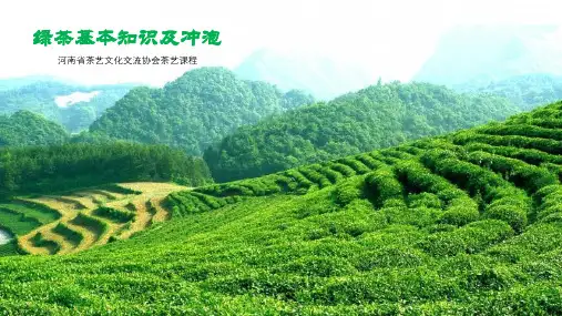 绿茶课件