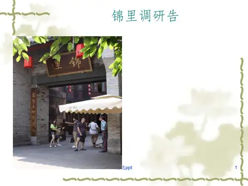 锦里调研报告