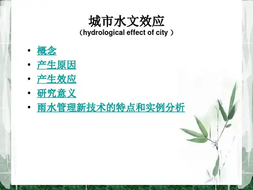 城市水文效应