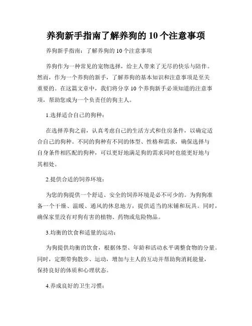 养狗新手指南了解养狗的10个注意事项