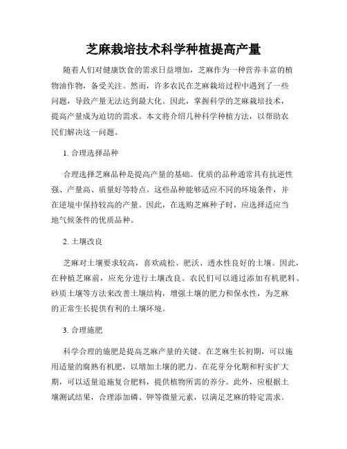 芝麻栽培技术科学种植提高产量