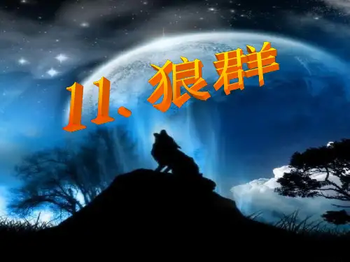 西师大版语文五年级上册第三单元《狼群》课件1