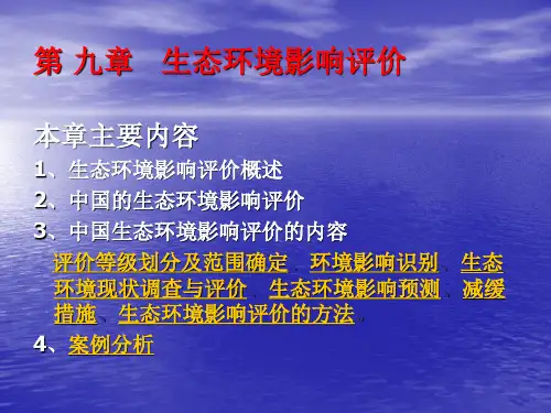 生态环境影响评价12模板