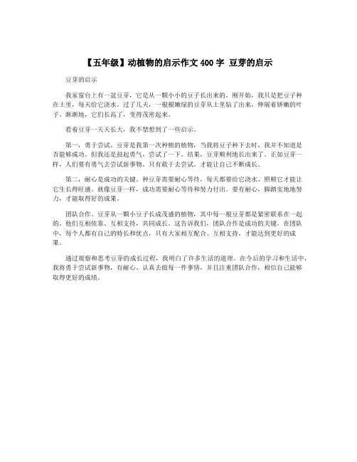 【五年级】动植物的启示作文400字 豆芽的启示