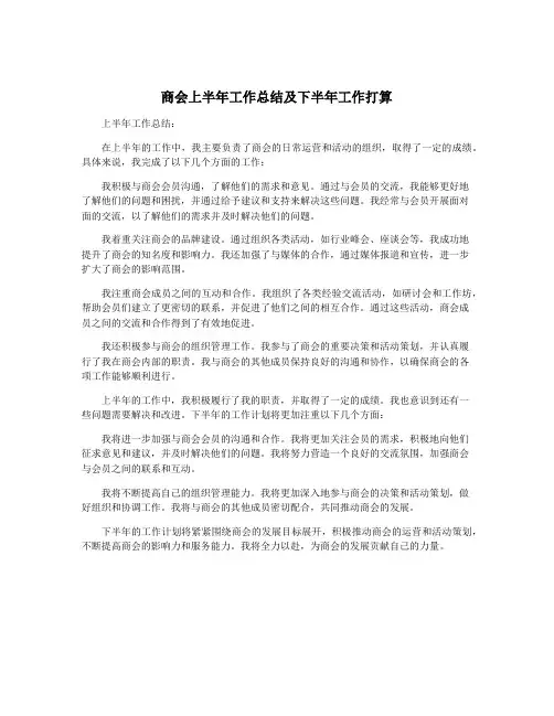 商会上半年工作总结及下半年工作打算