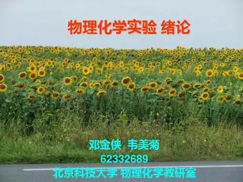 物理化学实验冶金09