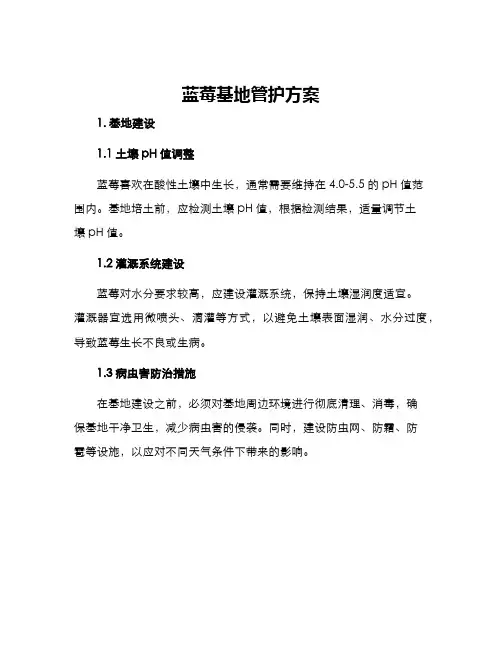 蓝莓基地管护方案