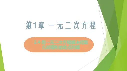 课件11几何图形的动点问题九年级数学上册学与练(苏科版)