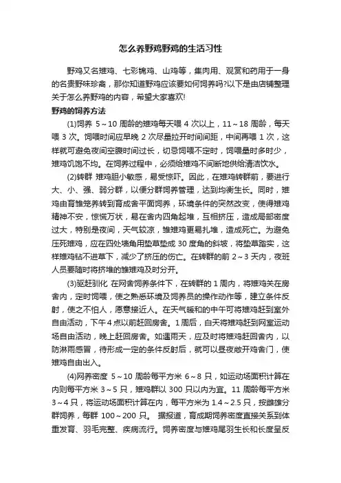 怎么养野鸡野鸡的生活习性