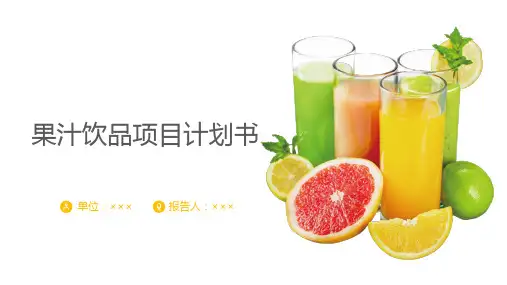 果汁饮品项目计划书PPT课件