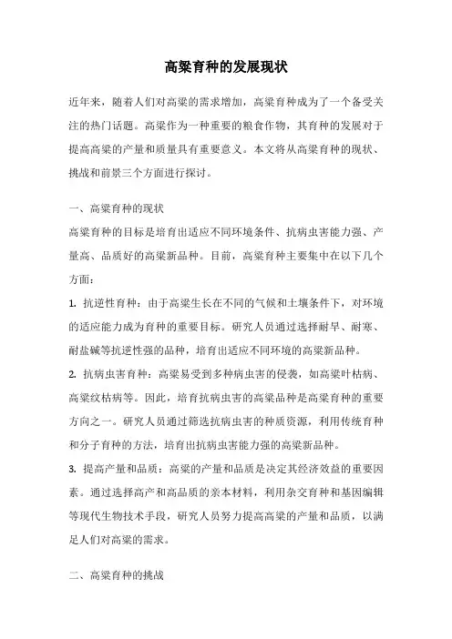 高粱育种的发展现状