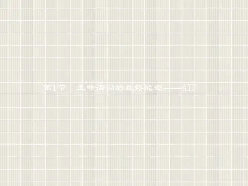 高中生物 第5章 细胞的能量代谢 5.1 生命活动的直接能源——ATP 北师大版必修1