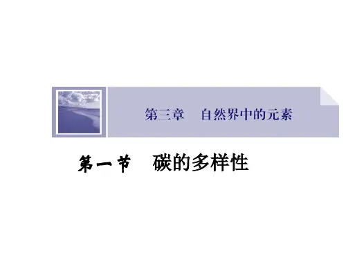《碳的多样性》课件3