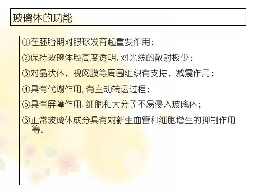 玻璃体出血PPT课件