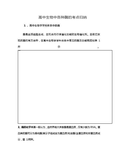 高中生物中各种酶的考点归纳