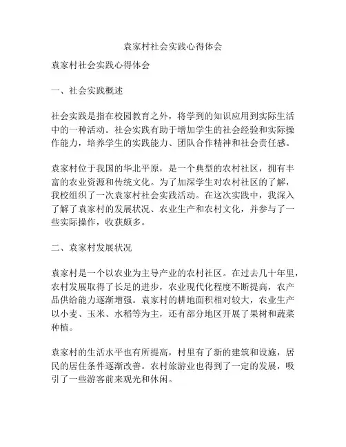 袁家村社会实践心得体会