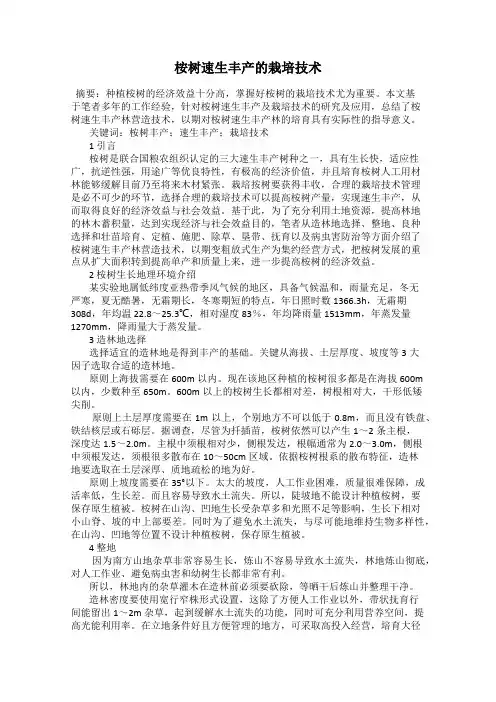 桉树速生丰产的栽培技术