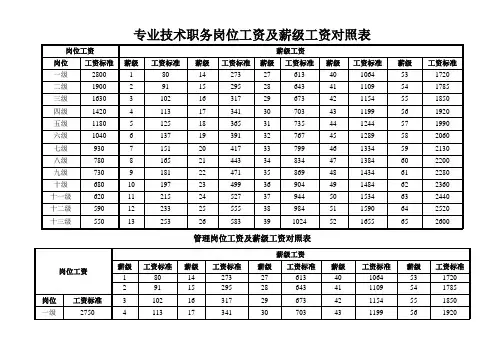 专业技术职务岗位工资及薪级工资对照表