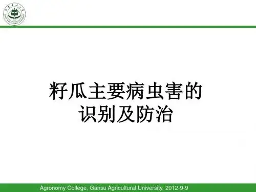 籽瓜病虫害的识别及防治 共38页PPT资料