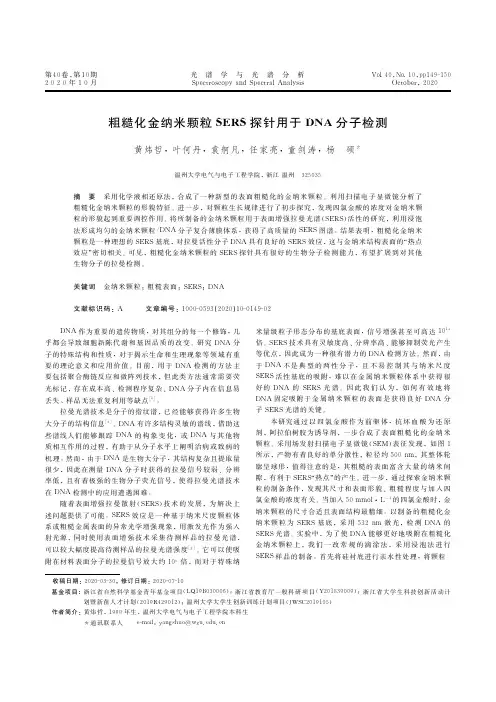 粗糙化金纳米颗粒SERS探针用于DNA分子检测