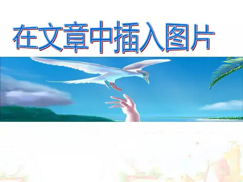 第十四课《在文章中插入图片》课件