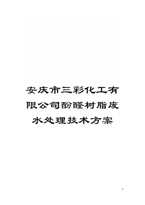 安庆市三彩化工有限公司酚醛树脂废水处理技术方案模板