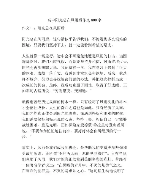 高中阳光总在风雨后作文800字