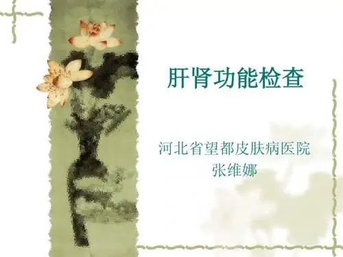 肝肾功能检查