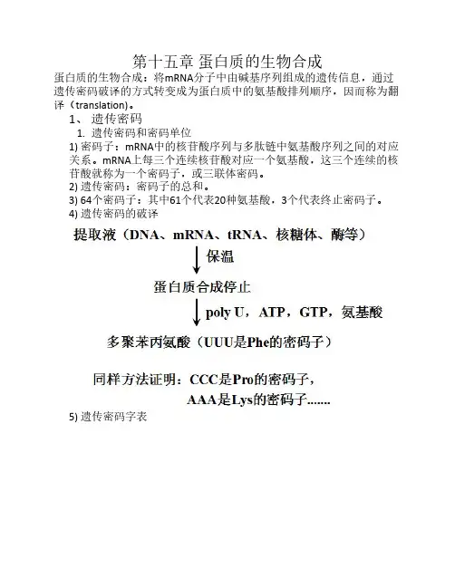 蛋白质的生物合成