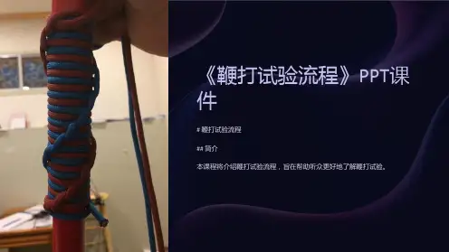 《鞭打试验流程》课件